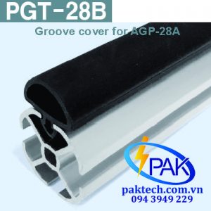 PGT-28B